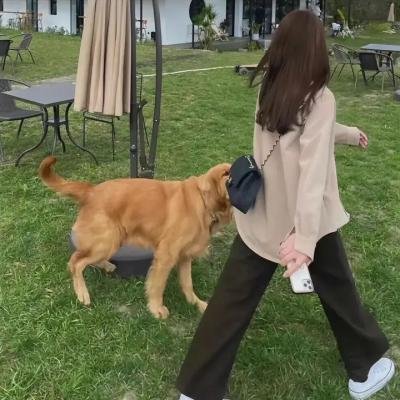 少林俗家弟子